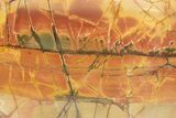 Polished Cherry Creek Jasper - China #318970-1